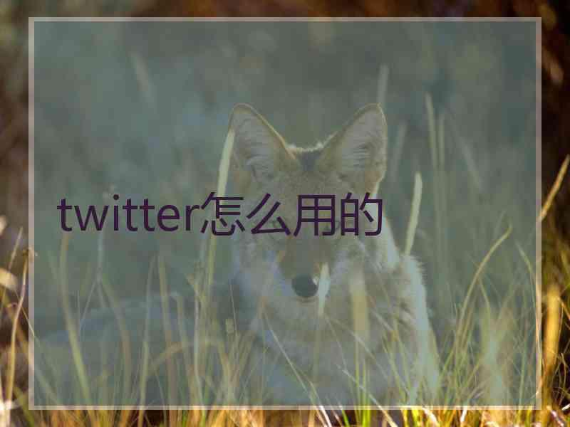 twitter怎么用的