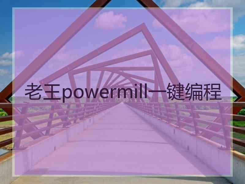 老王powermill一键编程