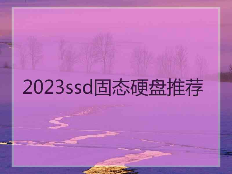 2023ssd固态硬盘推荐