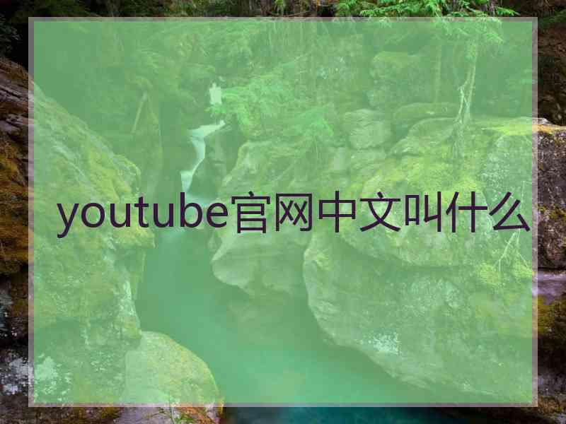 youtube官网中文叫什么