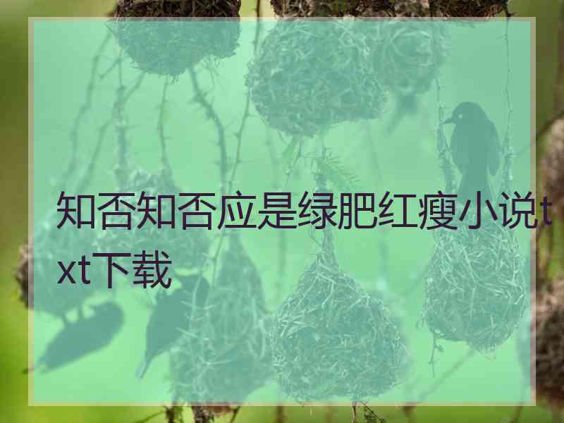 知否知否应是绿肥红瘦小说txt下载