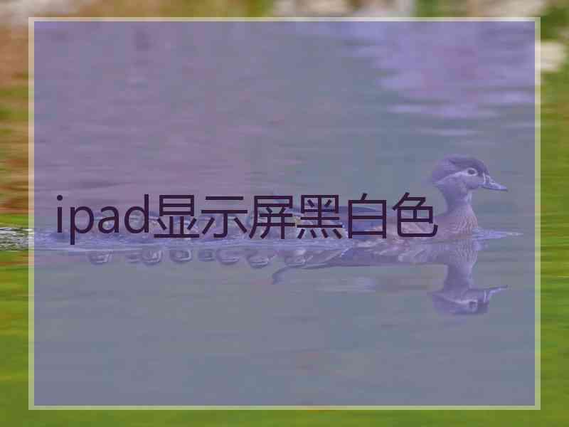 ipad显示屏黑白色