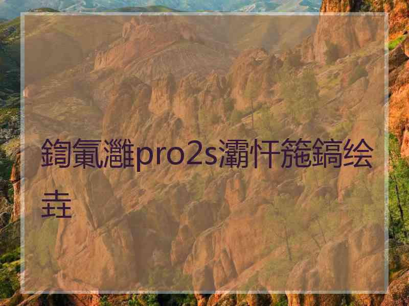 鍧氭灉pro2s灞忓箷鎬绘垚