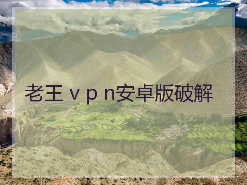 老王 v p n安卓版破解