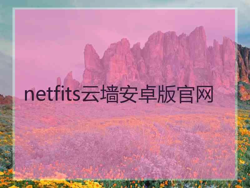 netfits云墙安卓版官网