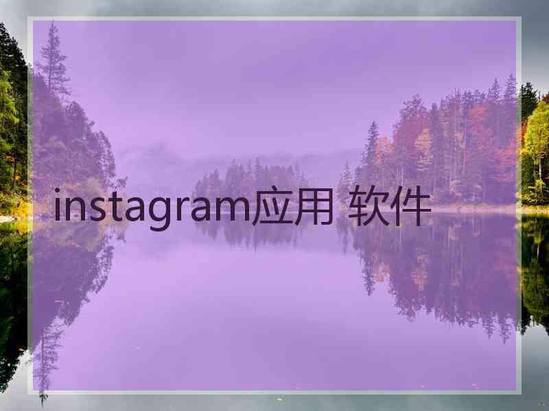 instagram应用 软件