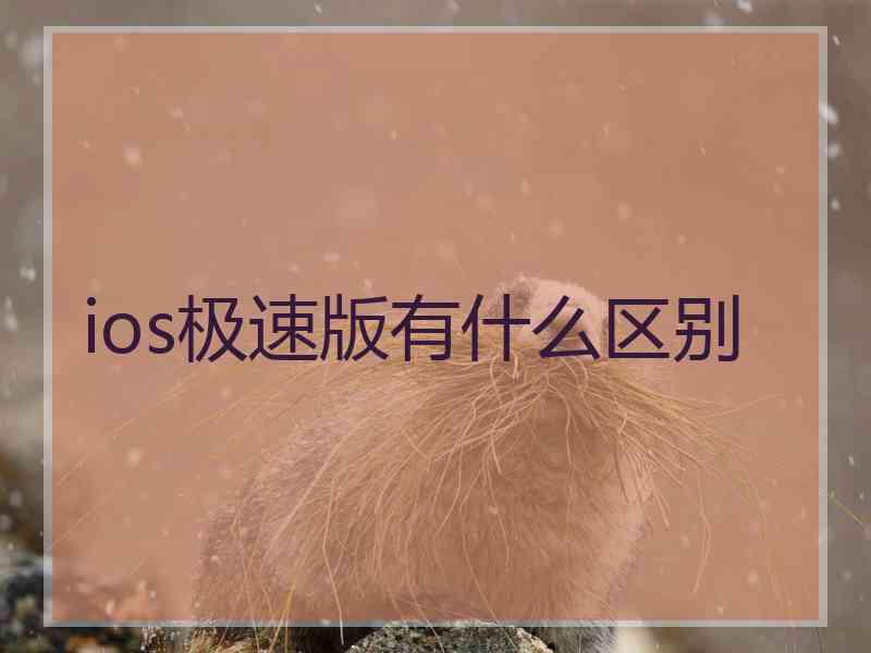 ios极速版有什么区别