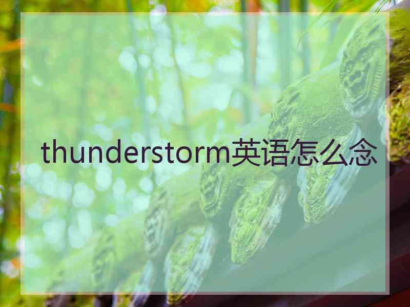 thunderstorm英语怎么念