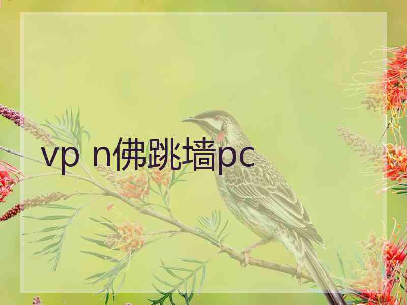 vp n佛跳墙pc