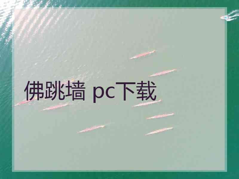 佛跳墙 pc下载