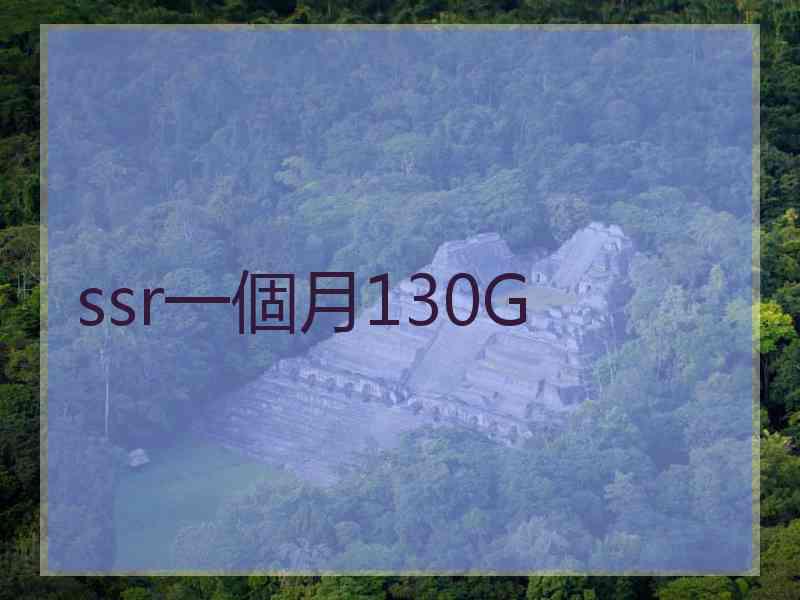 ssr一個月130G