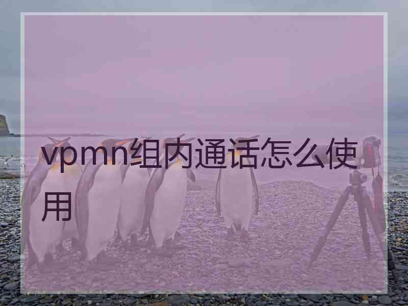 vpmn组内通话怎么使用