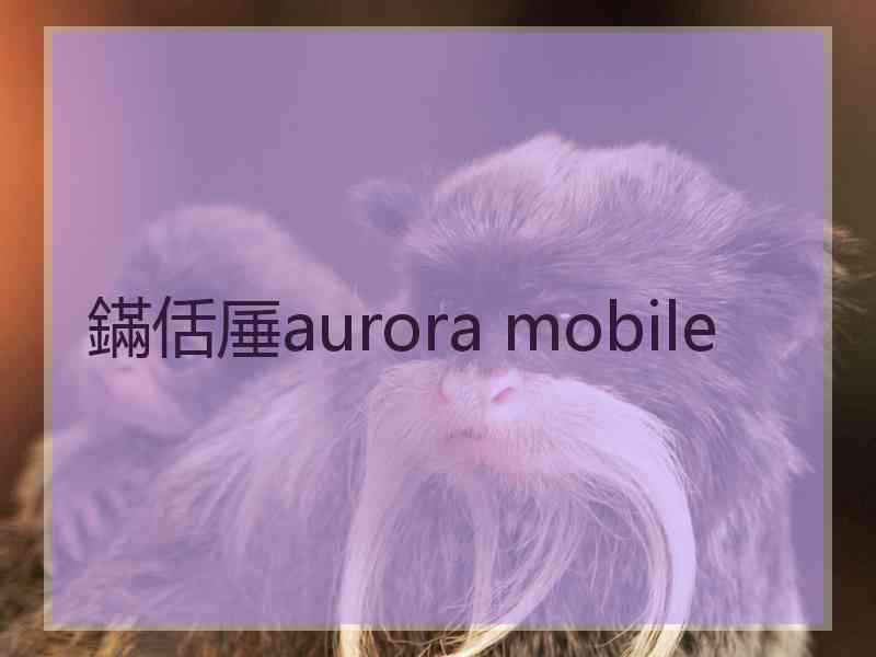 鏋佸厜aurora mobile