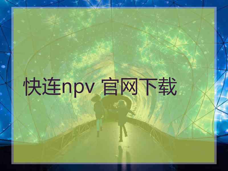 快连npv 官网下载