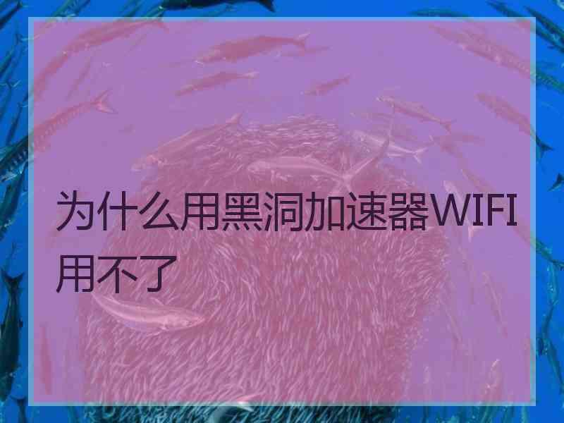 为什么用黑洞加速器WIFI用不了