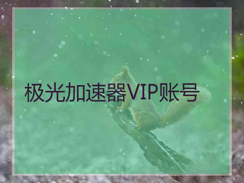 极光加速器VIP账号