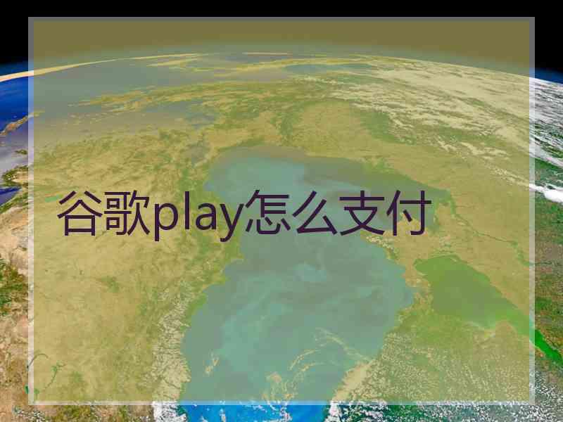 谷歌play怎么支付