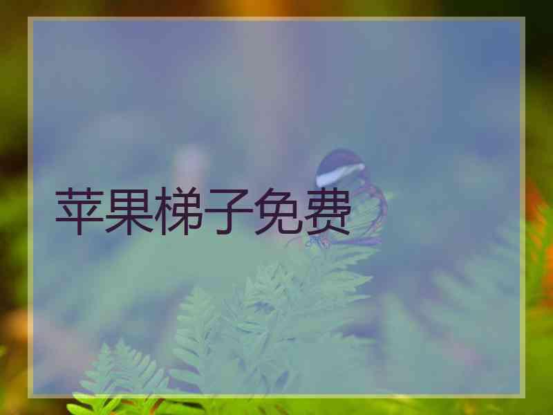 苹果梯子免费