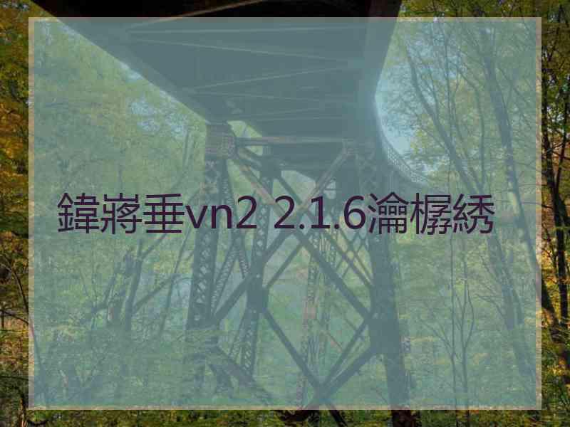 鍏嶈垂vn2 2.1.6瀹樼綉