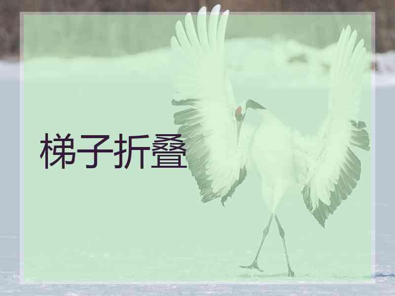 梯子折叠