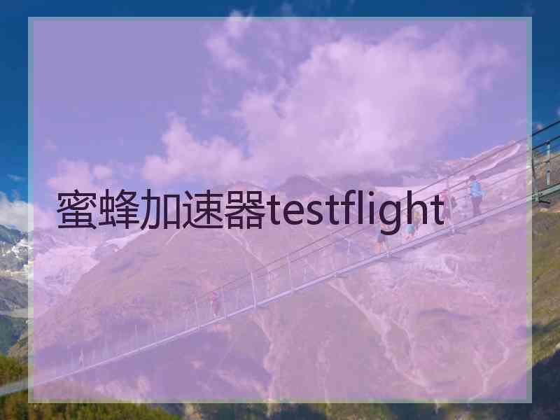 蜜蜂加速器testflight