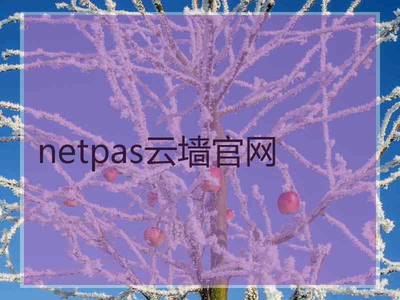 netpas云墙官网