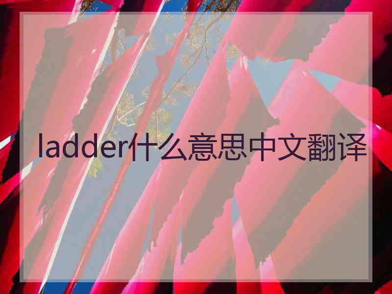 ladder什么意思中文翻译