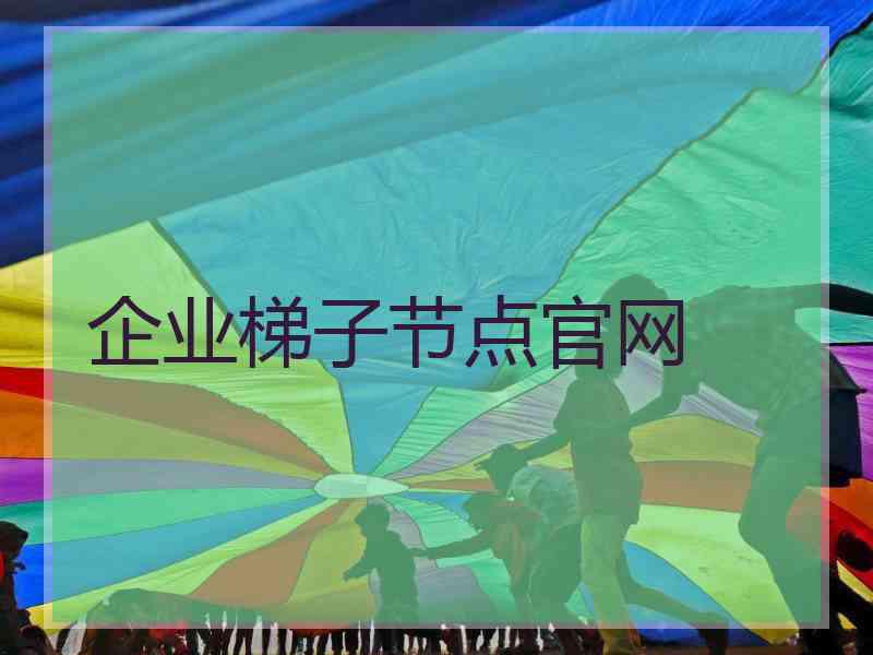 企业梯子节点官网