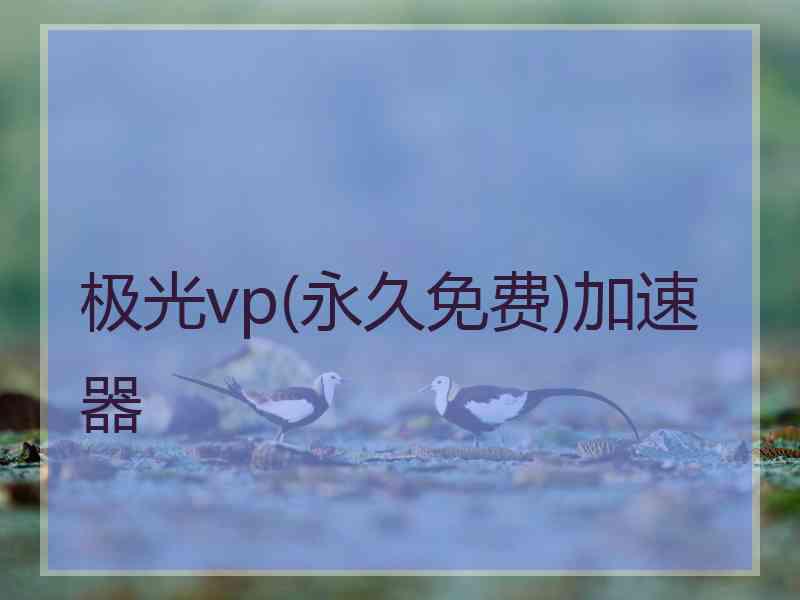 极光vp(永久免费)加速器