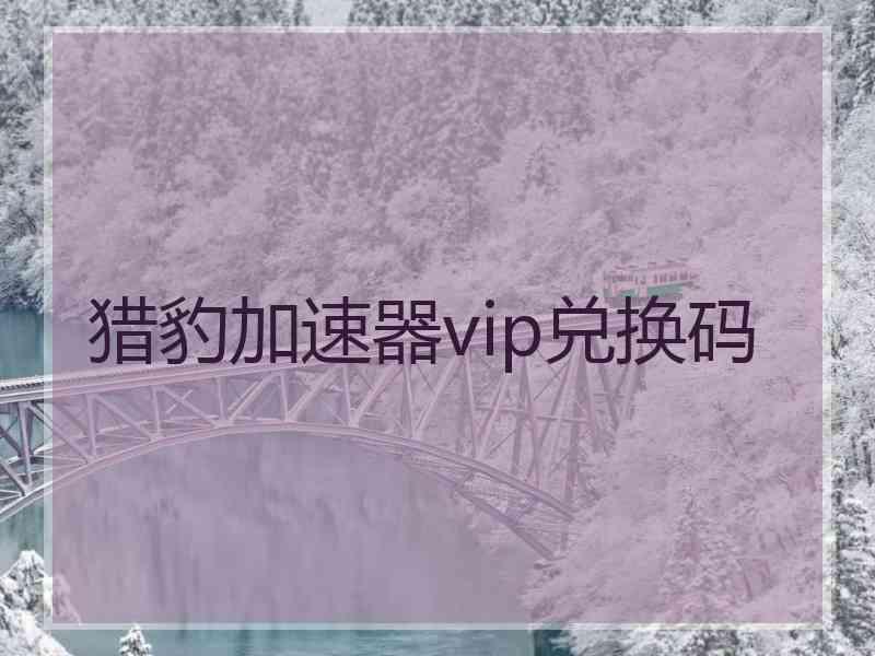 猎豹加速器vip兑换码