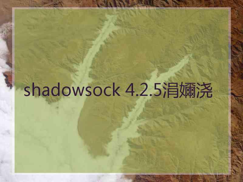 shadowsock 4.2.5涓嬭浇