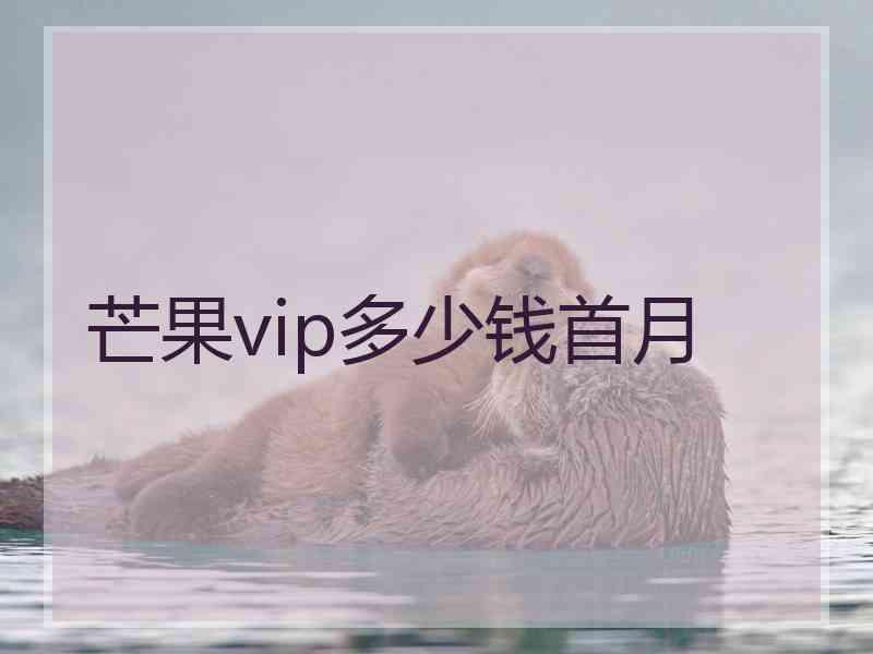 芒果vip多少钱首月