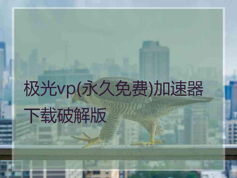 极光vp(永久免费)加速器下载破解版