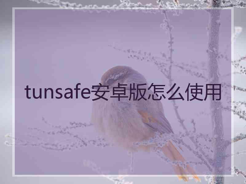 tunsafe安卓版怎么使用