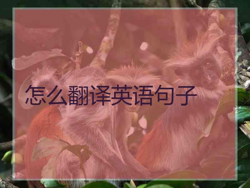 怎么翻译英语句子