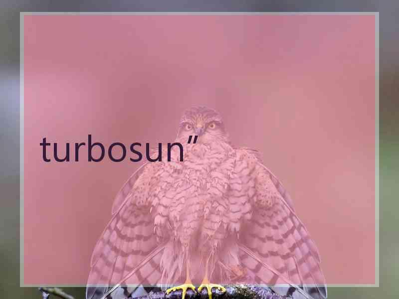 turbosun”