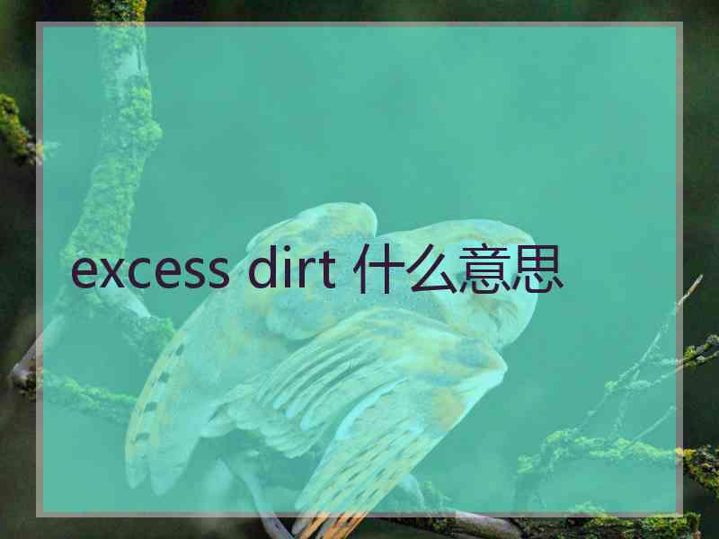 excess dirt 什么意思