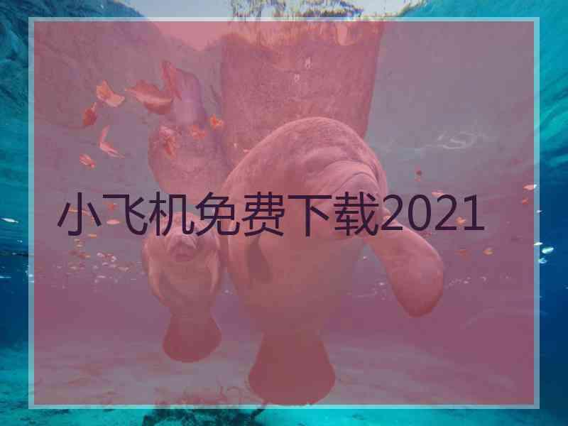 小飞机免费下载2021