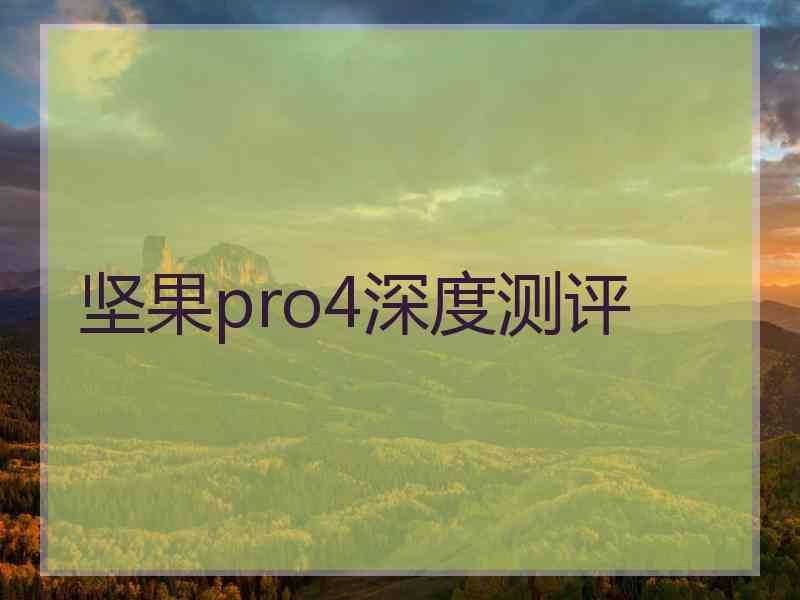 坚果pro4深度测评