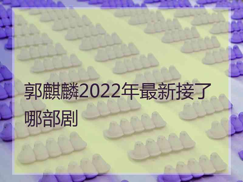 郭麒麟2022年最新接了哪部剧