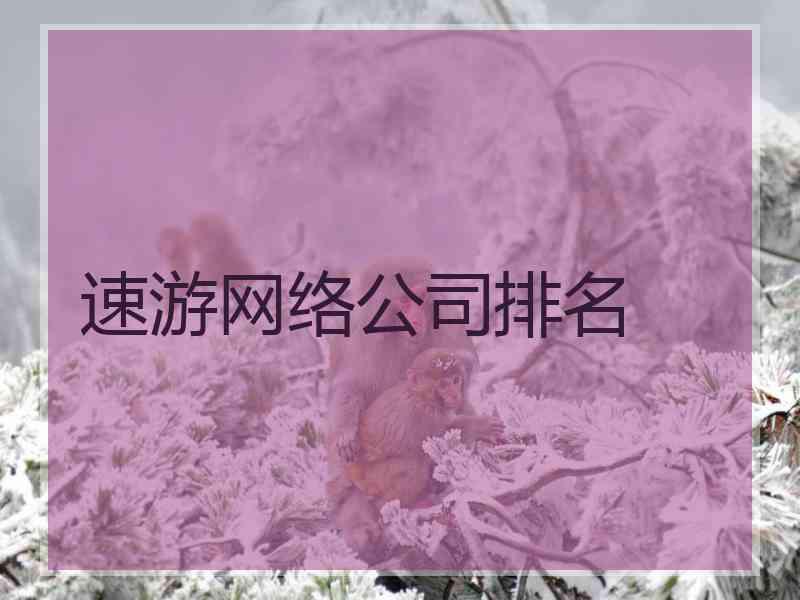 速游网络公司排名