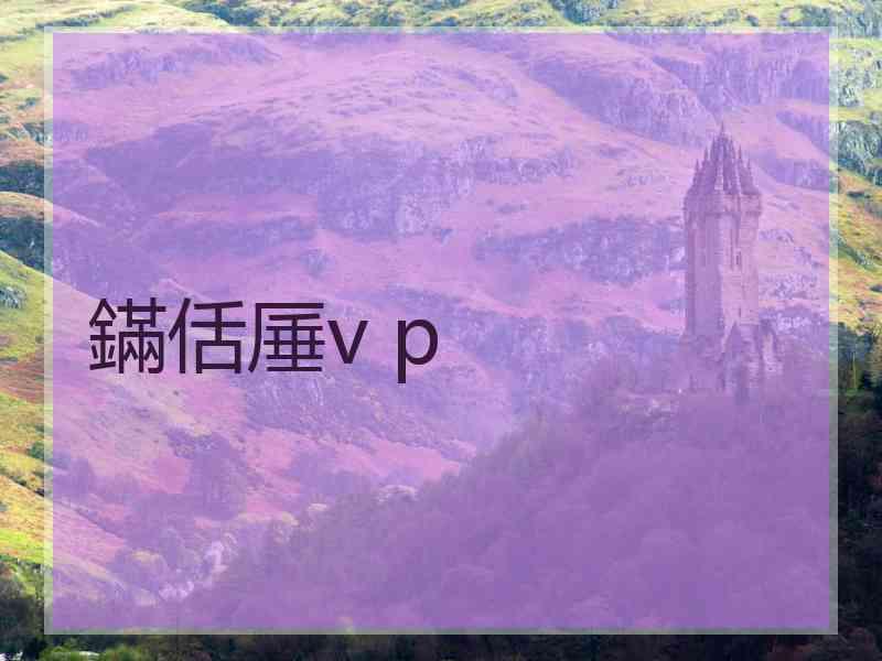 鏋佸厜v p