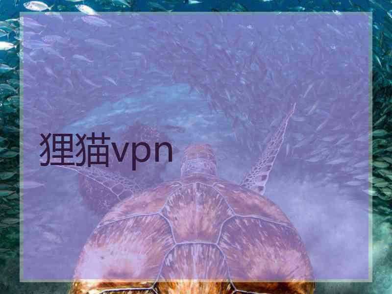 狸猫vpn