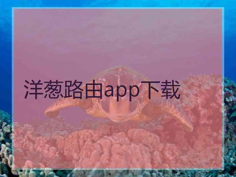 洋葱路由app下载