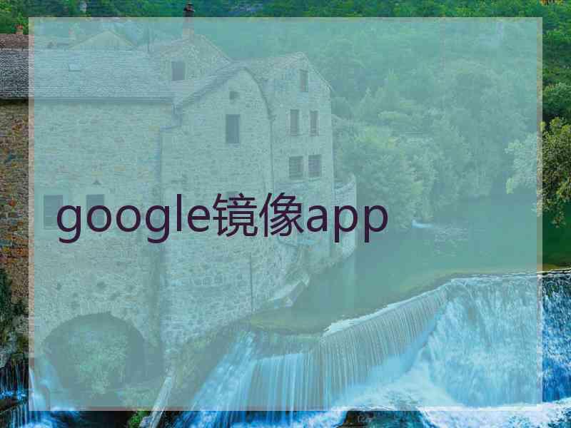 google镜像app