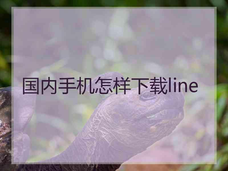 国内手机怎样下载line