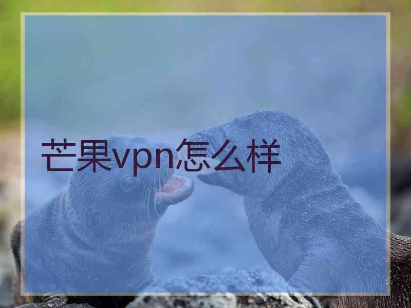 芒果vpn怎么样