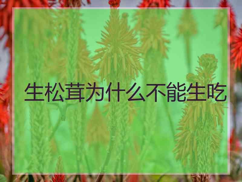 生松茸为什么不能生吃