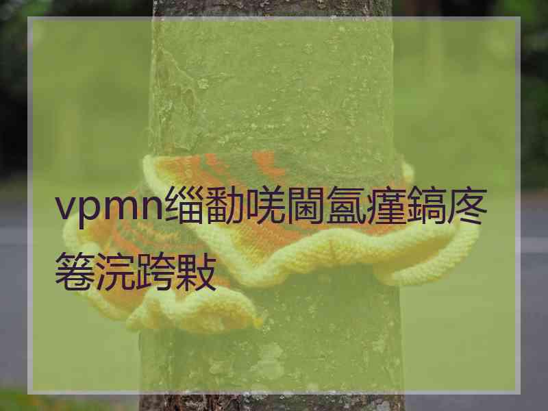 vpmn缁勫唴閫氳瘽鎬庝箞浣跨敤