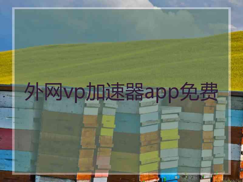 外网vp加速器app免费